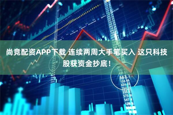 尚竞配资APP下载 连续两周大手笔买入 这只科技股获资金抄底！