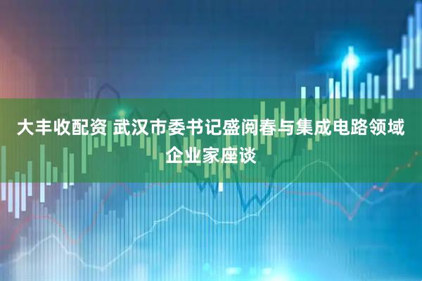 大丰收配资 武汉市委书记盛阅春与集成电路领域企业家座谈